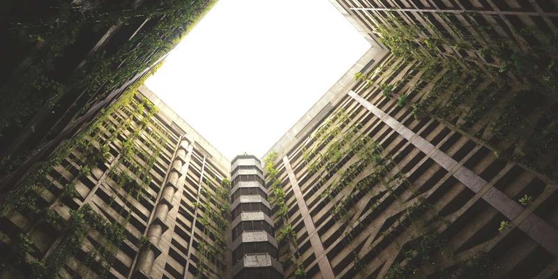 下一站旅行：京都红叶季深度游攻略｜小众寺院巡礼、夜间拜观与和服体验全解析