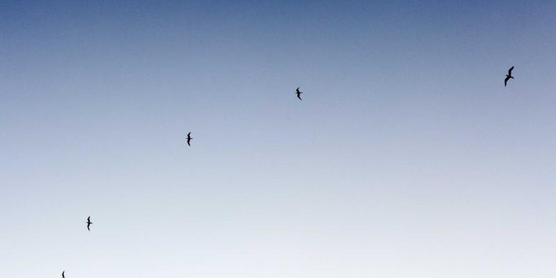 下一站旅行：解锁自由行的灵魂，这份景点推荐清单让你重新定义探索