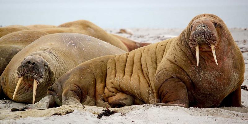 亲子自由行全攻略：超实用带娃行李清单与目的地行程规划秘籍