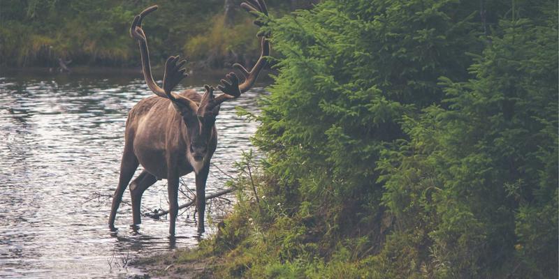 旅游攻略52：从行程规划到完美体验的终极旅行指南