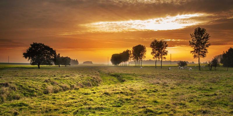 旅游攻略54：从行程规划到完美体验的完整旅行指南