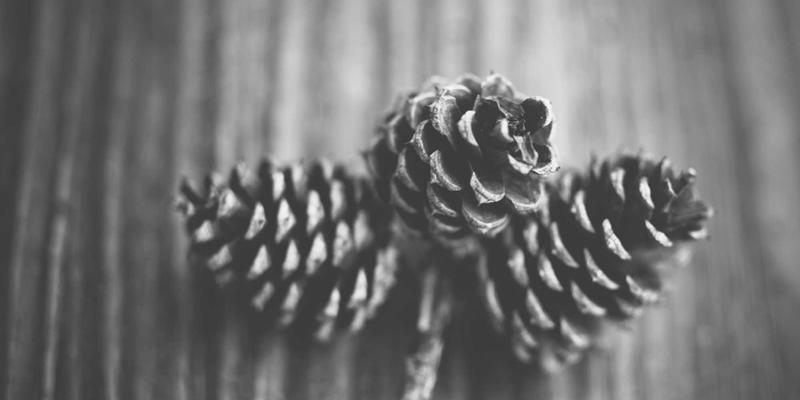 旅游攻略55：三步打造完美自由行，从行程规划到深度体验的完整指南