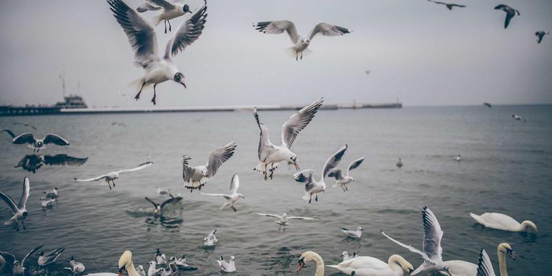 背包客专属：高效行程规划与秘境景点推荐指南