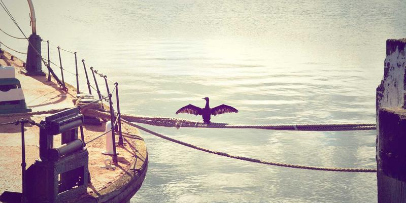 背包客自由行终极指南：从行程规划到深度体验的完整攻略